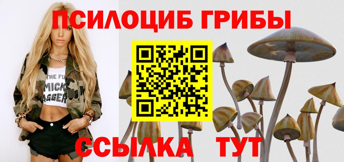 сколько стоит  Вход с VPN  Донской  Галлюциногенные грибы прущие грибы 